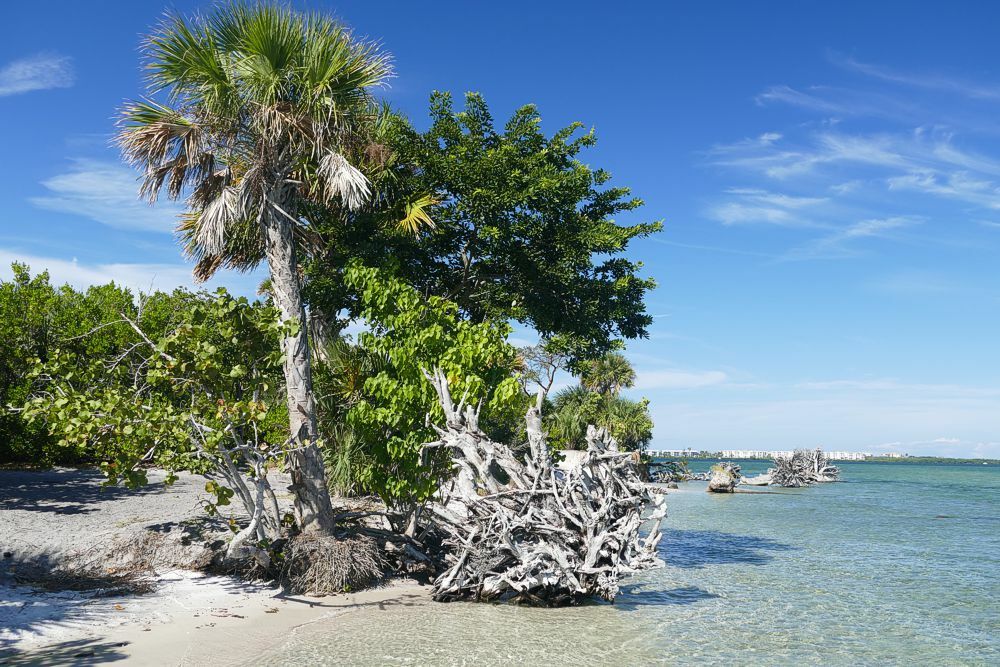 Click to See Next Image